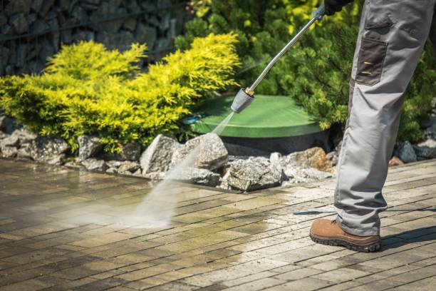 Best Fence Cleaning  in Gotha, FL